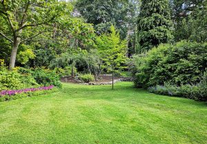 Optimiser l'expérience du jardin à Petit-Bourg