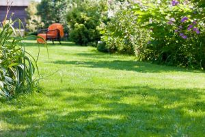 travaux jardin et paysage Petit-Bourg